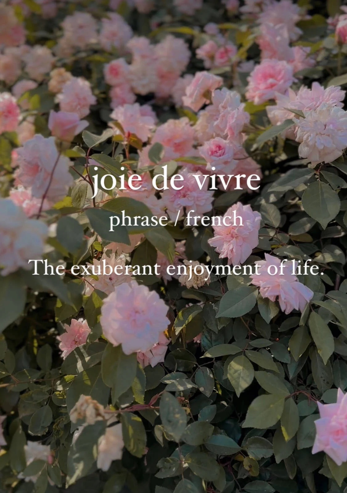 Joie De Vivre: 15 Ways to Cultivate an Exuberant Enjoyment of Life