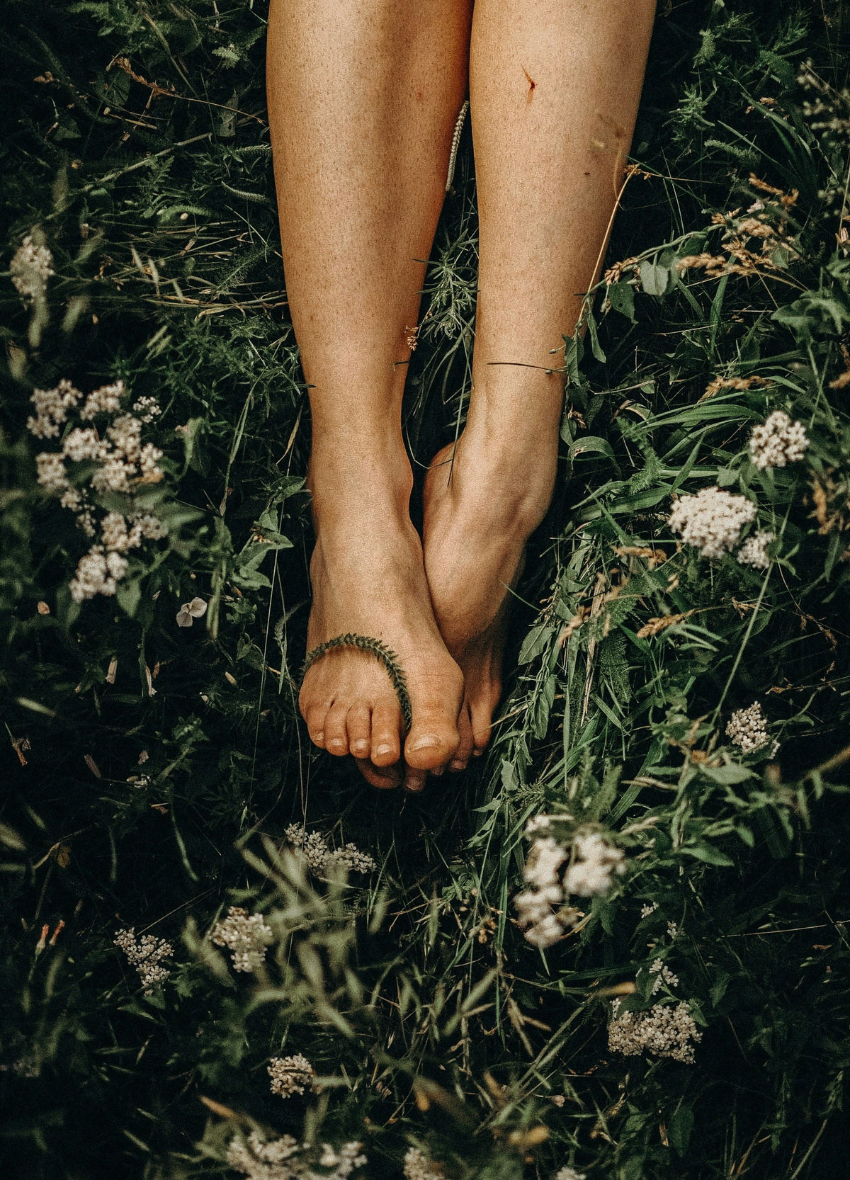 Rooted & Regulated: How Simple Rituals Can Heal Your Nervous System